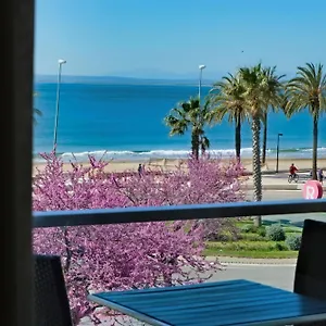 Marina 3* Roses